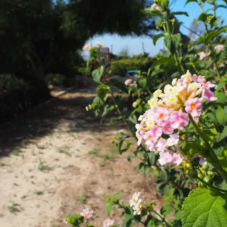 Floridia